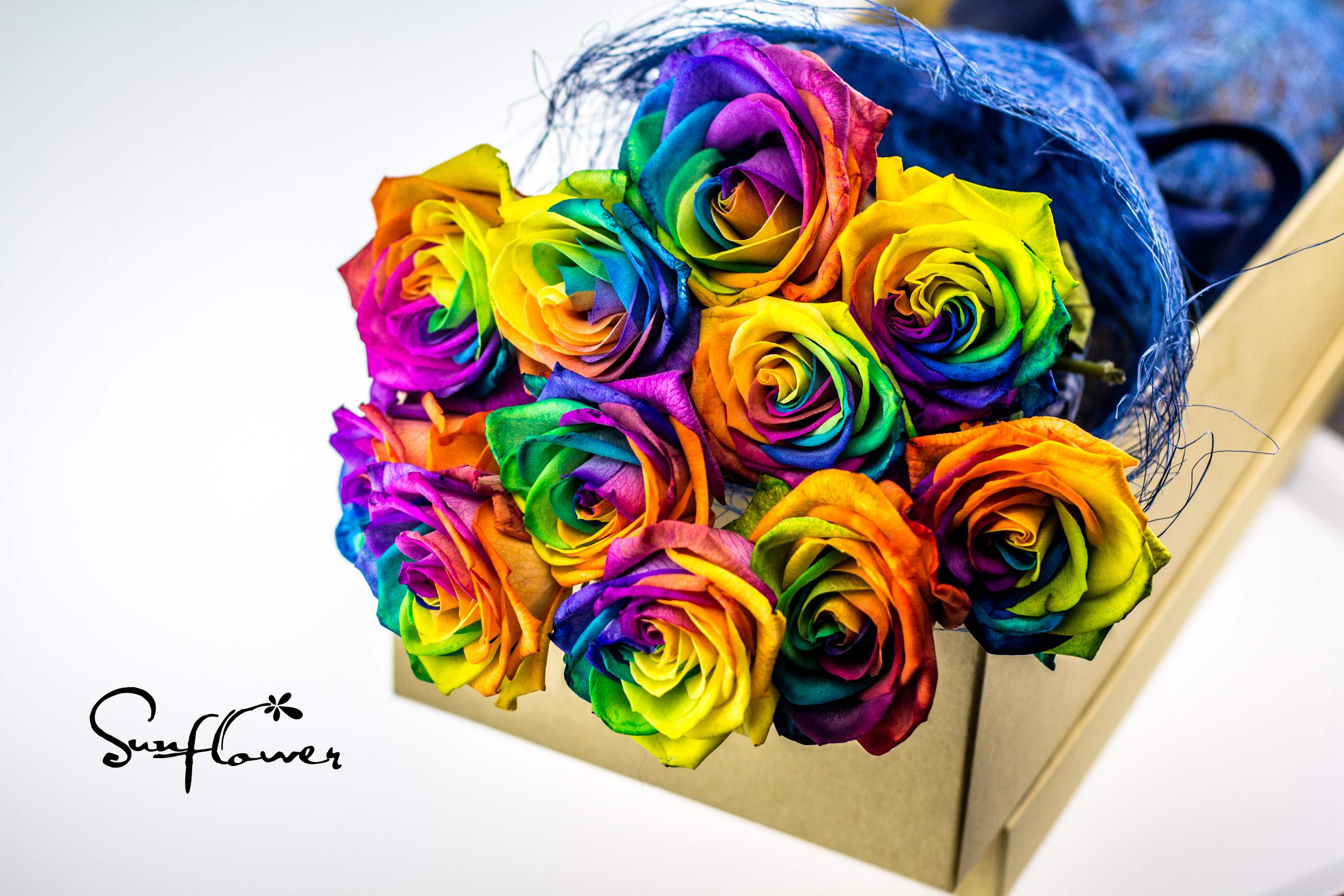 11支厄瓜多尔rainbow【七彩玫瑰】