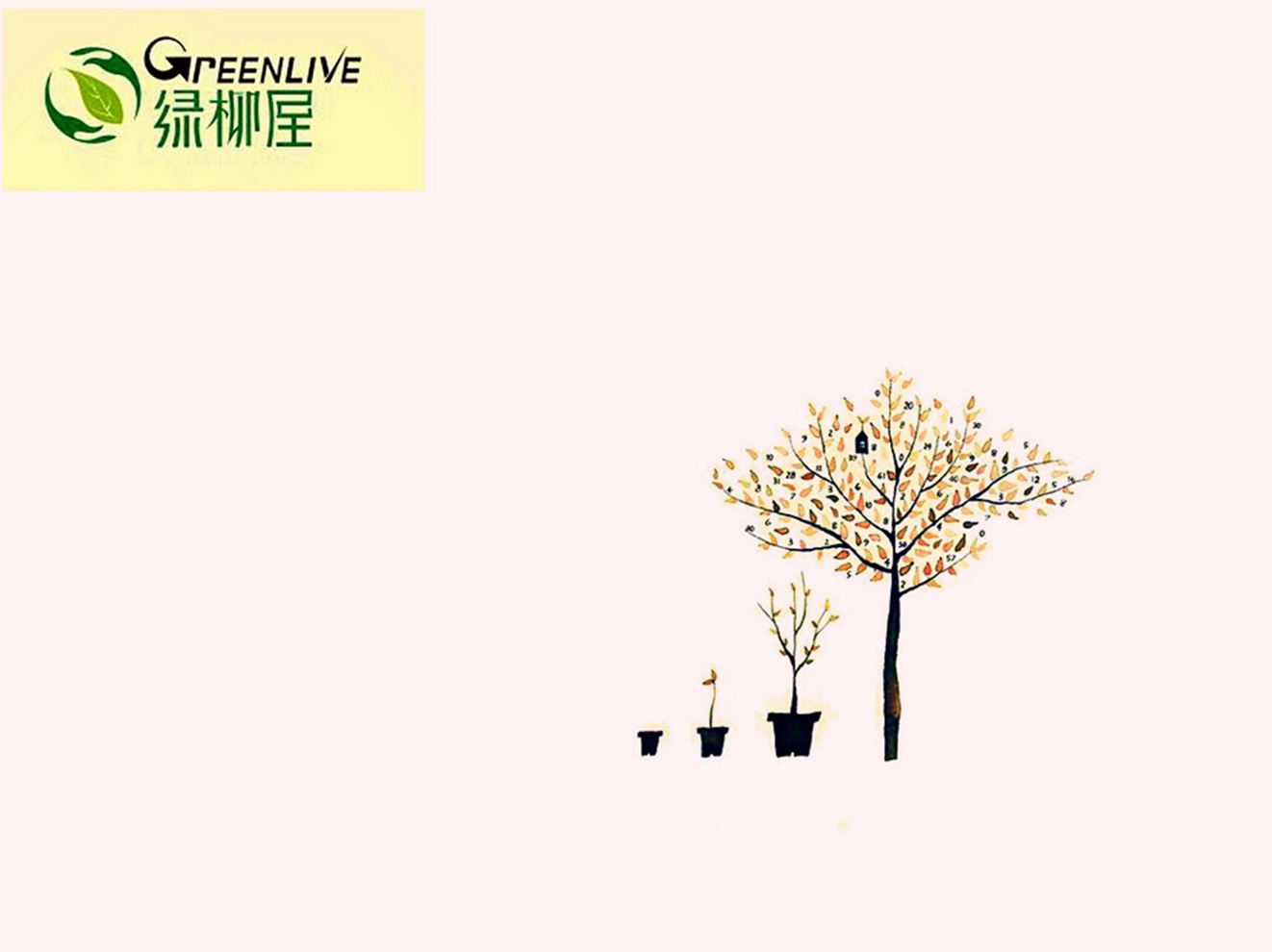 绿柳屋健康生活馆200429