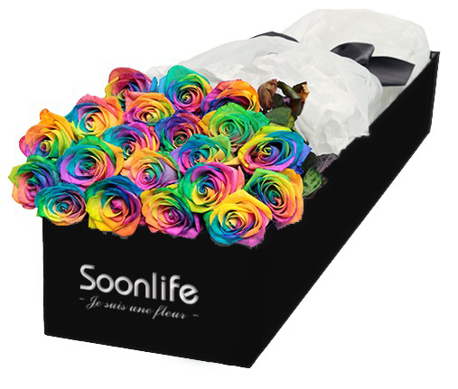 经典七彩枪炮玫瑰