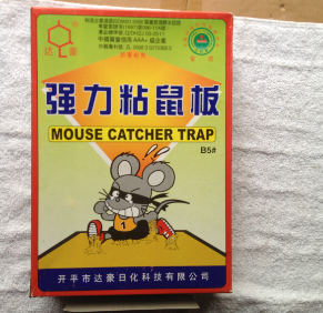 达豪b5#强力粘鼠板1x20