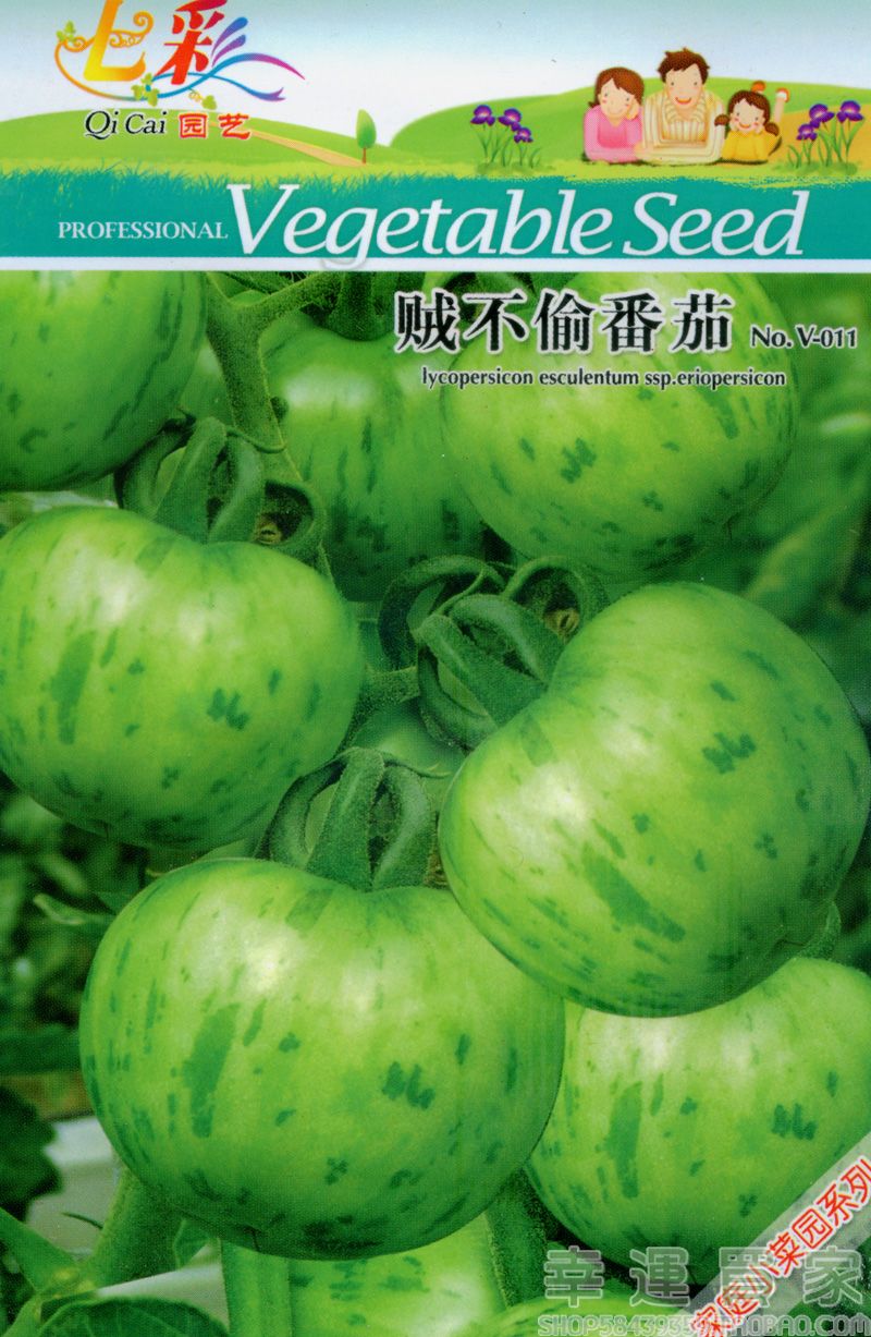 蔬菜种子-贼不偷番茄