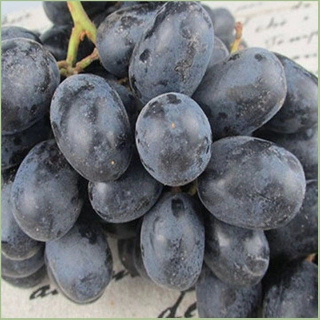 智利黑提 10斤装 190元/箱