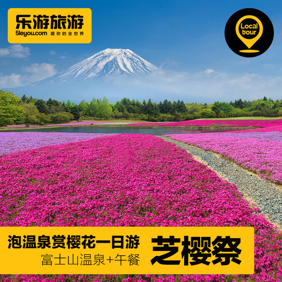 【乐游日本】 日本富士山泡温泉赏樱花一日游