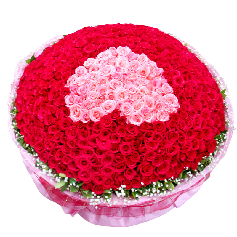 999朵土豪求婚专用