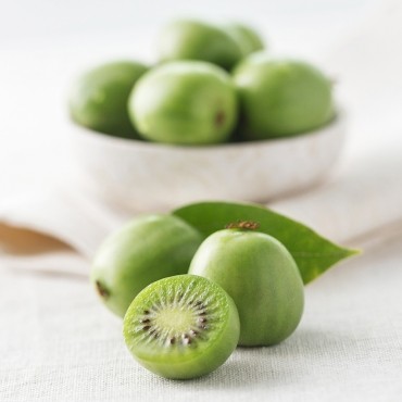 新西兰奇异莓(2盒,单盒125g)