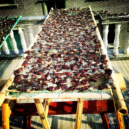 石浦刘老大家 私房酱马鲛鱼&熏鱼 百年配方直供酒店 商品图3