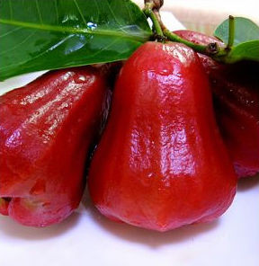 台湾|莲雾--2斤/盒