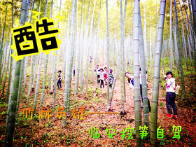 （永久下架）竹林英雄——临安挖笋自驾