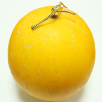 缅甸黄金蜜瓜(中果)