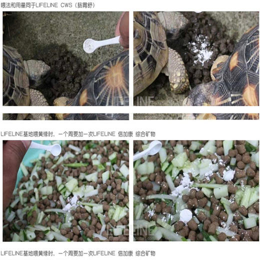 【出眠营养补充】补充矿物质多维电解质，加强龟体质，母龟预防生软壳蛋，软甲苗，公龟增加发情能力 商品图3