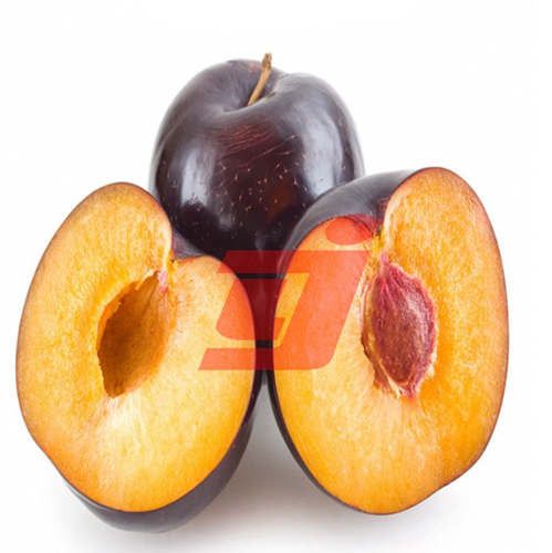 商品详情 布朗李子果实扁圆形,果皮底色绿,着暗紫红色,果点灰白色