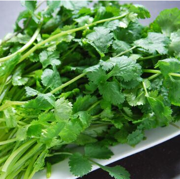 香菜- 重庆朝天门火锅文化路店