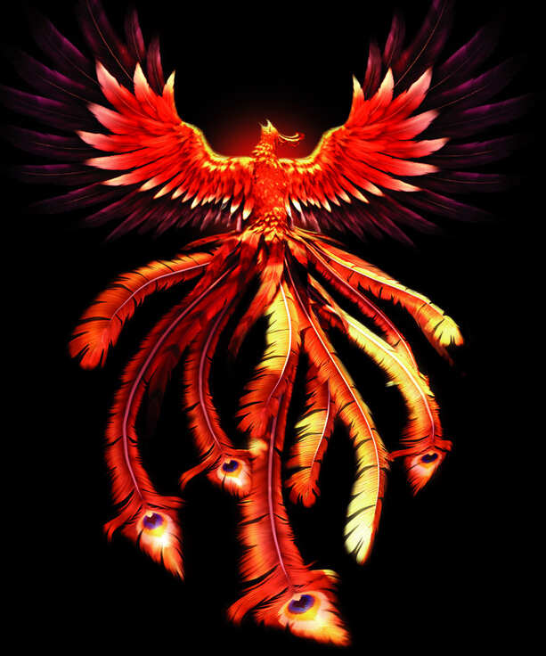 极限不死鸟200509