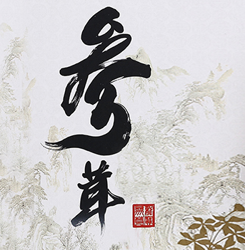 宸宸妈咪参茸店180315