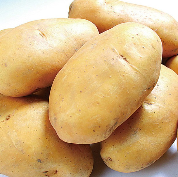 土豆1000g