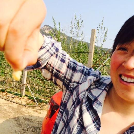 顺凯退款测试3 商品图0