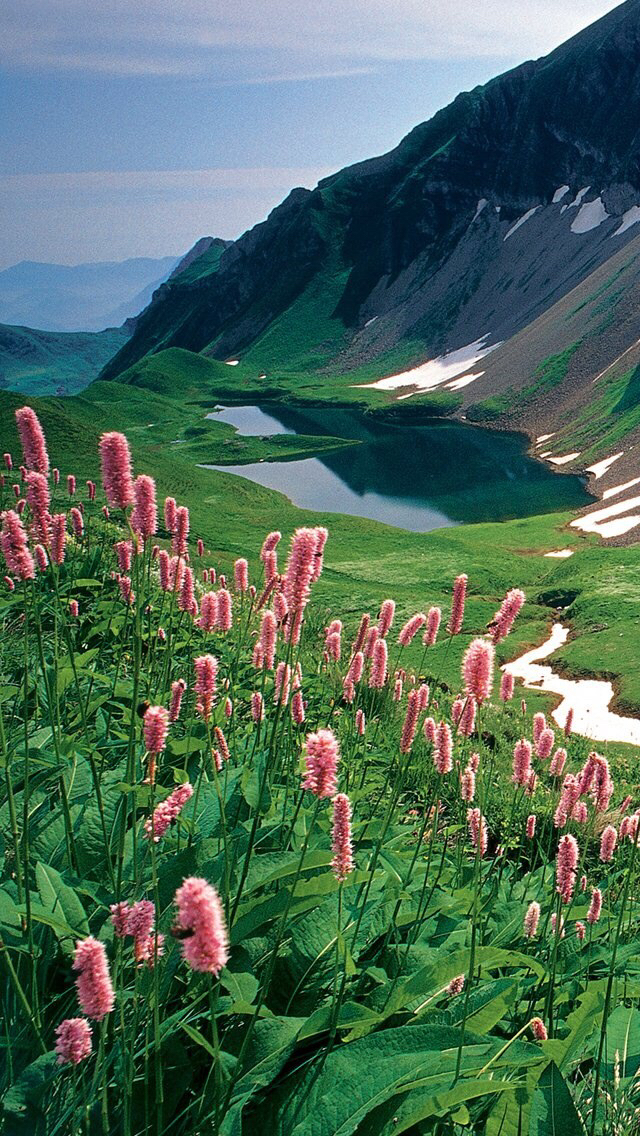 共众微商城180315