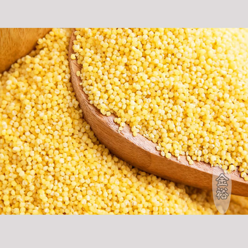 山西特产优质小黄米 500g