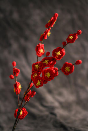 梅花