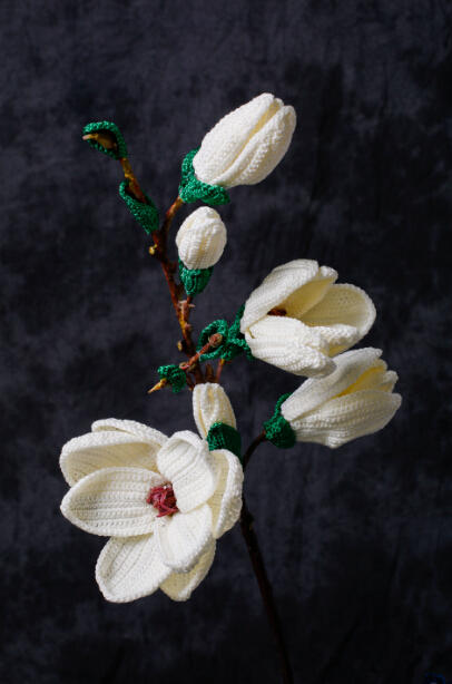 玉兰花 商品图0