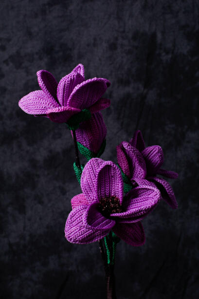 玉兰花 商品图1