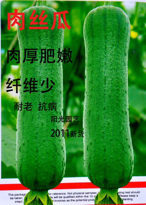 菜农兴677大肉丝瓜]蔬菜种子早熟 肉厚肥嫩 抗病耐劳