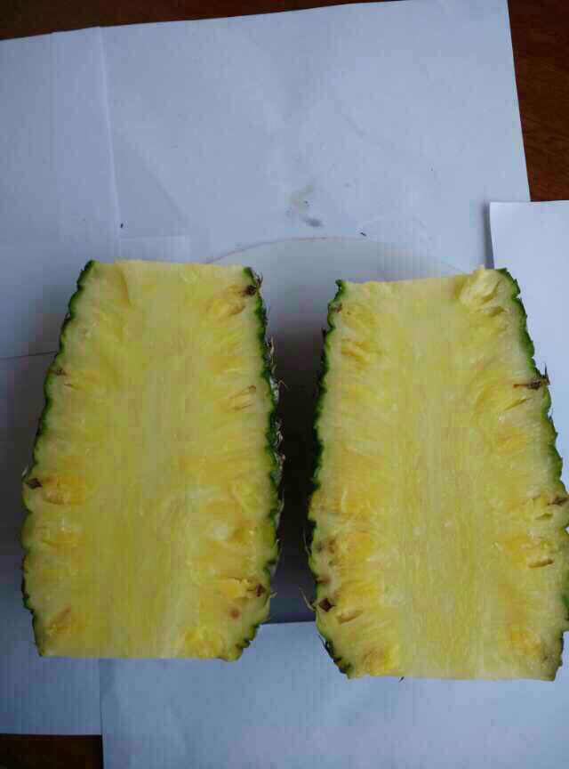 海南甜蜜蜜菠萝