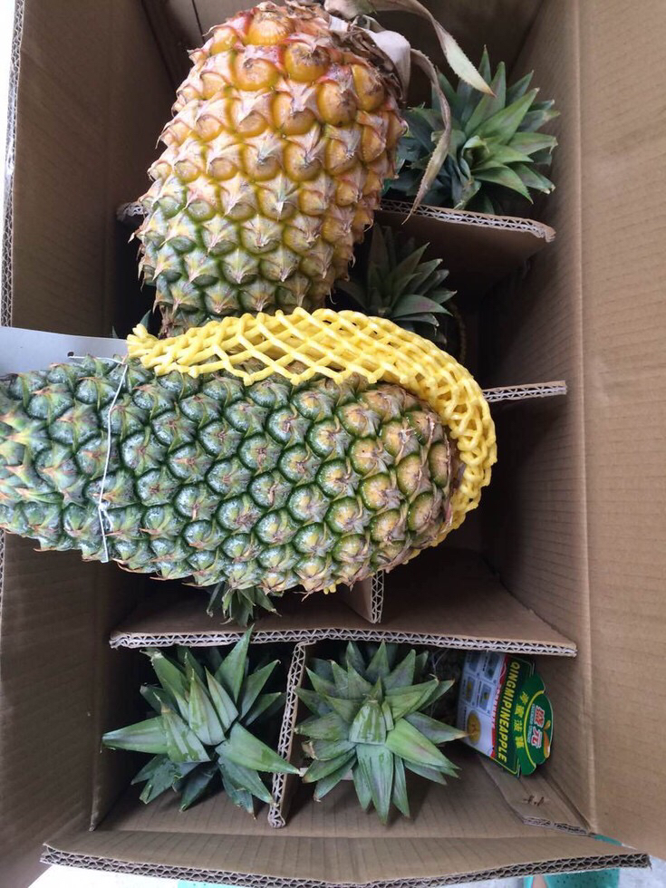 海南甜蜜蜜菠萝