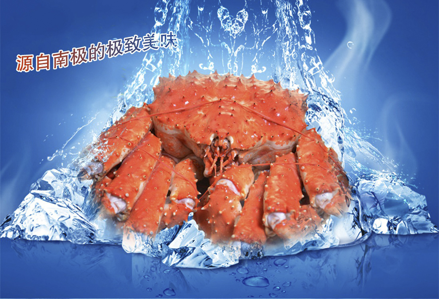 南极帝王蟹 1.1kg/只