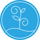 道合绿植花卉200508