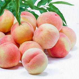 测试分销上架时间