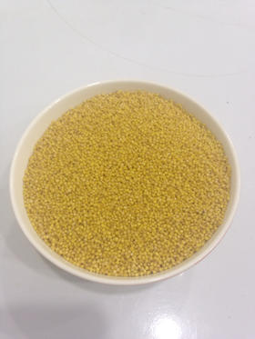 山西农家金小米