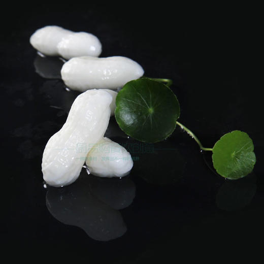 花生嫩 模具 花生模具 花生模【20孔】 商品图0