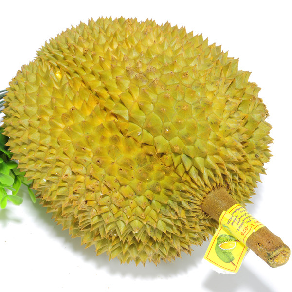 泰国金枕榴莲17/斤 ,89/个
