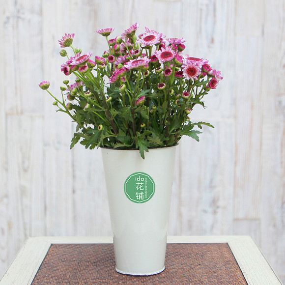 爱度花铺 10支粉色紫红芯多头小菊