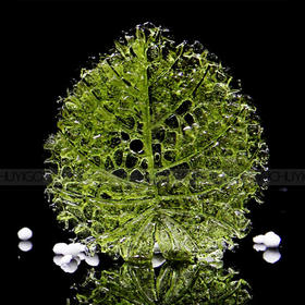 正辉糖艺压花模具ZH006