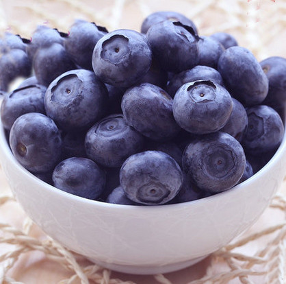 【玖农大叔】山东蓝莓鲜果 新鲜到货 保护视力