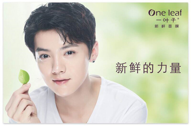 一叶子鹿晗植物酵素多效清颜净肤炭黑补水美白祛痘面膜专柜正品