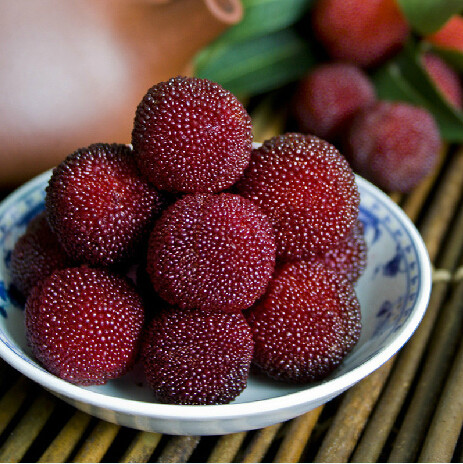 产地直供 仙居荸荠杨梅