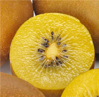 金果