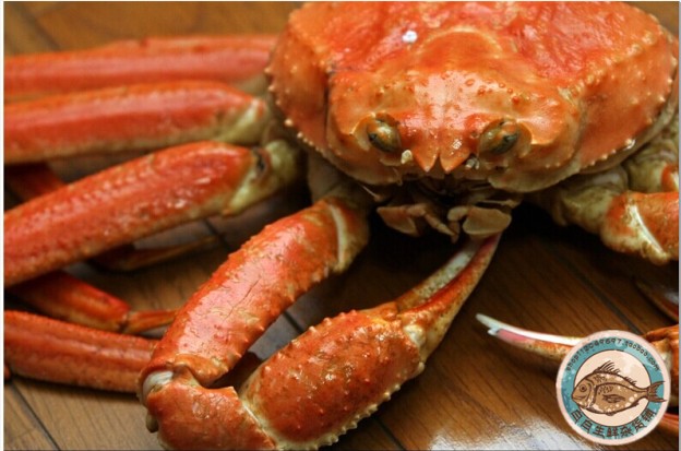 加拿大整只雪蟹 熟冻600g