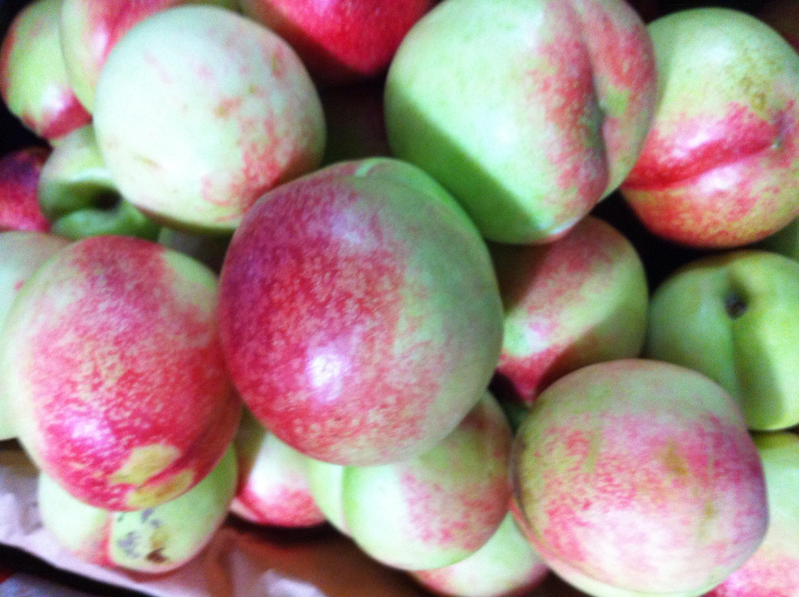 山东青油桃(5斤装)