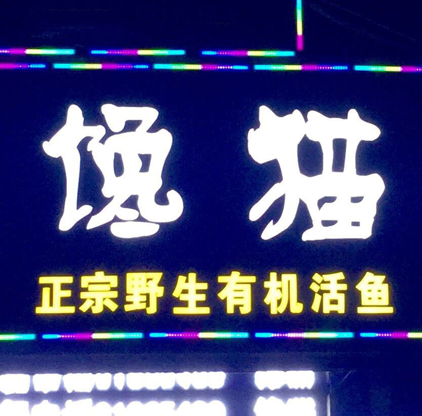 馋猫柴火鱼180404