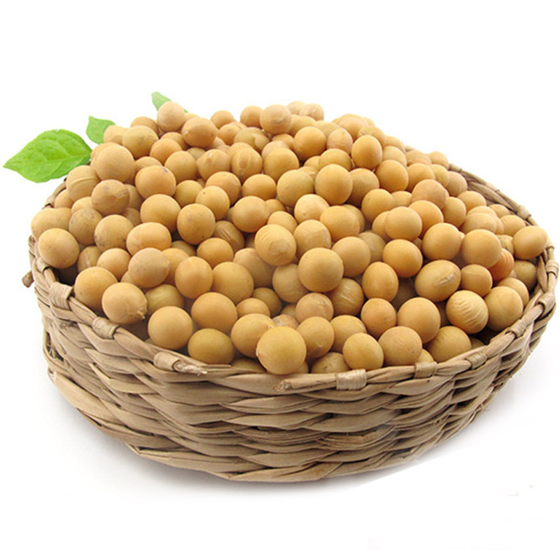 【粮油】黄豆粒 约500g/份