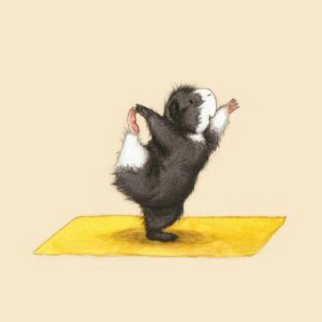 西班牙原瓶进口爱之湾桃红莫斯卡托甜起泡酒 万千女性挚爱