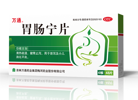胃肠宁片