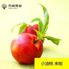 瘦瘦测分销商运费改价