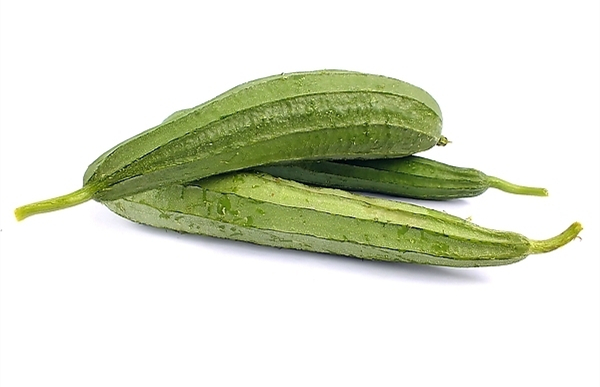 广东丝瓜(玉丝瓜)