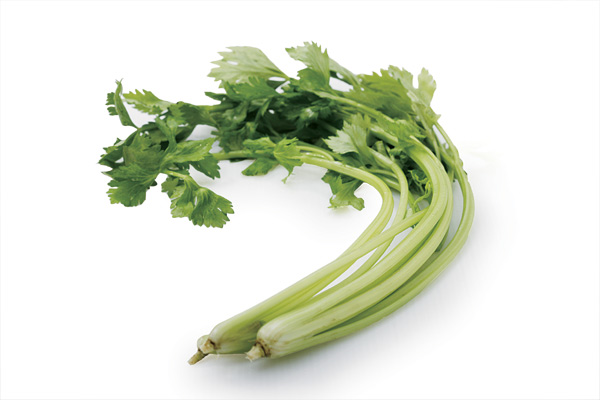 香芹菜 500g - 尧道生态园