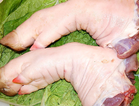 新鲜猪脚(约1000kg)/份